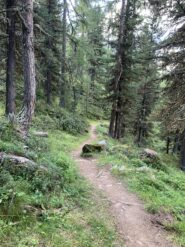 G1, discese da godere (qui verso Zermat)