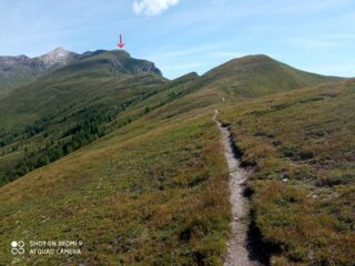 L'ampia cresta verso la Cima di Novale (Riedspitze, freccia rossa)
