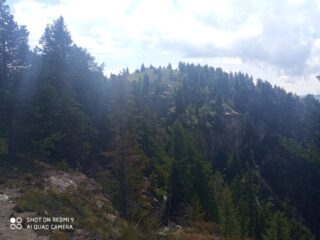 La morbida vetta dell'Altes Karl sorretta dalla parete nord.