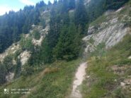 Un tratto del traverso sotto lo Stoanamandl