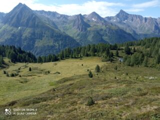 salendo, uno sguardo in giù; sulla destra tra i larici il piccolo Dumsee