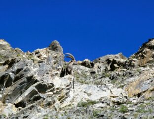 Il guardiano della Brèche...