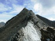 Sul tratto di cresta finale