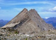 In discesa, la Taillante spunta tra i fiori...