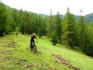 Radura verso Bellino