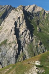 cavalli sulla strada sterrata 