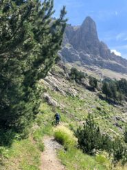 Chemin du Roy