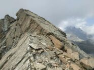 Le placche più vistose, quasi sempre camminabili.