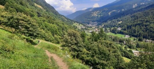 Bel sentiero anche in basso