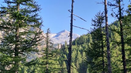 Monte leone