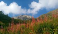 il Monte Garbella  