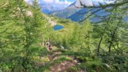 Lago Waira