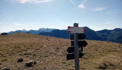 il pianoro all'uscita del bosco