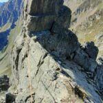 rasoio e gendarme facoltativo