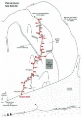 il grafico della linea