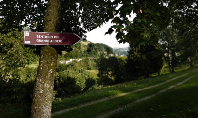 Partenza