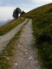 Verso la bolla