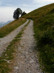 Verso la bolla