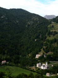 Morterone