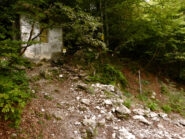Sorgente Forbasette