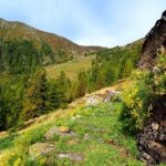 Un tratto molto gradevole del sentiero.