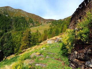 Un tratto molto gradevole del sentiero.