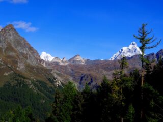 Dent d'Herens e Cervino con al centro Cime Bianche e Gran Sometta.