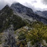 La dorsale dal colle, tra cespugli di ginepro e rododendri.