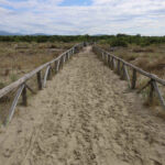 Su una strada laterale per raggiungere la Spiaggia della Lecciona