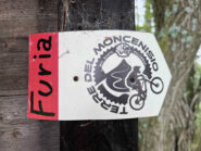 Furia