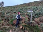 Inizio del Sentiero dei narcisi.