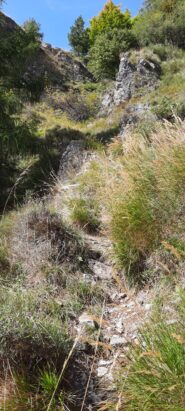 nel canale di discesa