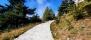 Tratto cementato verso alpe Prasimound