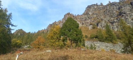 un pò d'autunno