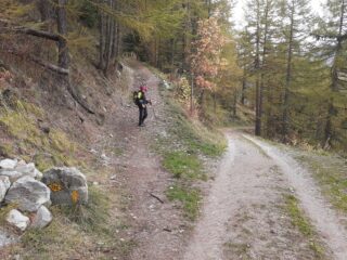 Arrivo dal Vallone del Menouve, sul TDC, con conseguente chiusura dell'anello.