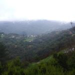 Panorama da Tanadorso