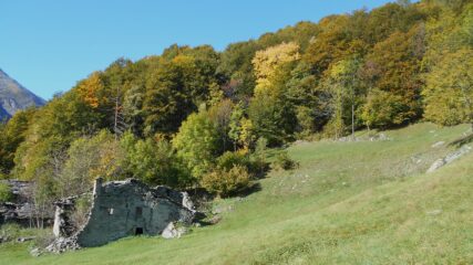 I primi colori dell'autunno!