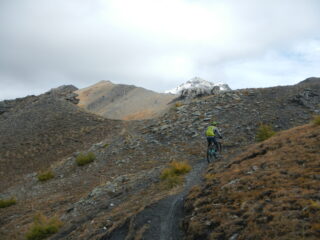 tratto di sentiero ciclabile