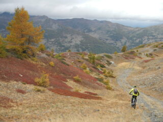 i primi colori autunnali