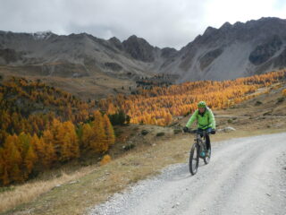 sullo sfondo gli Chalets de l'Alp