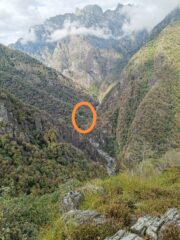 Orfalecchio giù in basso