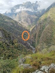 Orfalecchio giù in basso