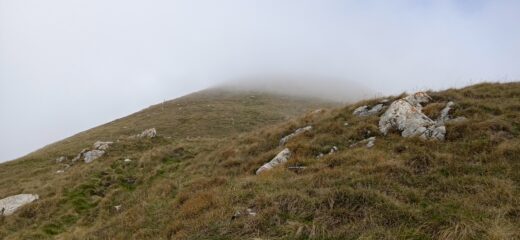 Salita al Monte Grosso 