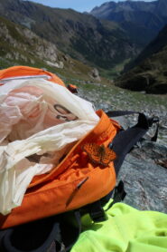 Farfall in love, amore impossibile