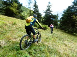 Sull'alpeggio in alto