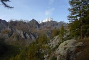 Appare la Bessanese