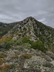 A metà della via