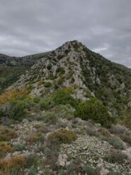 A metà della via