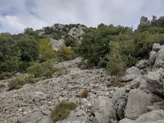La salita su sfasciumi alla ricerca della cresta