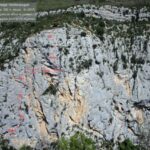 Topo dal sito di Pascal Faudou